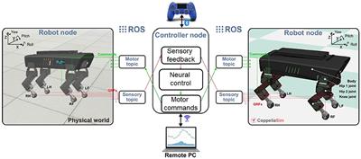 Echo State Networks for Estimating Exteroceptive Conditions From Proprioceptive States in Quadruped Robots